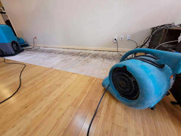 Professional Water Damage Repair technician working in Winder, GA